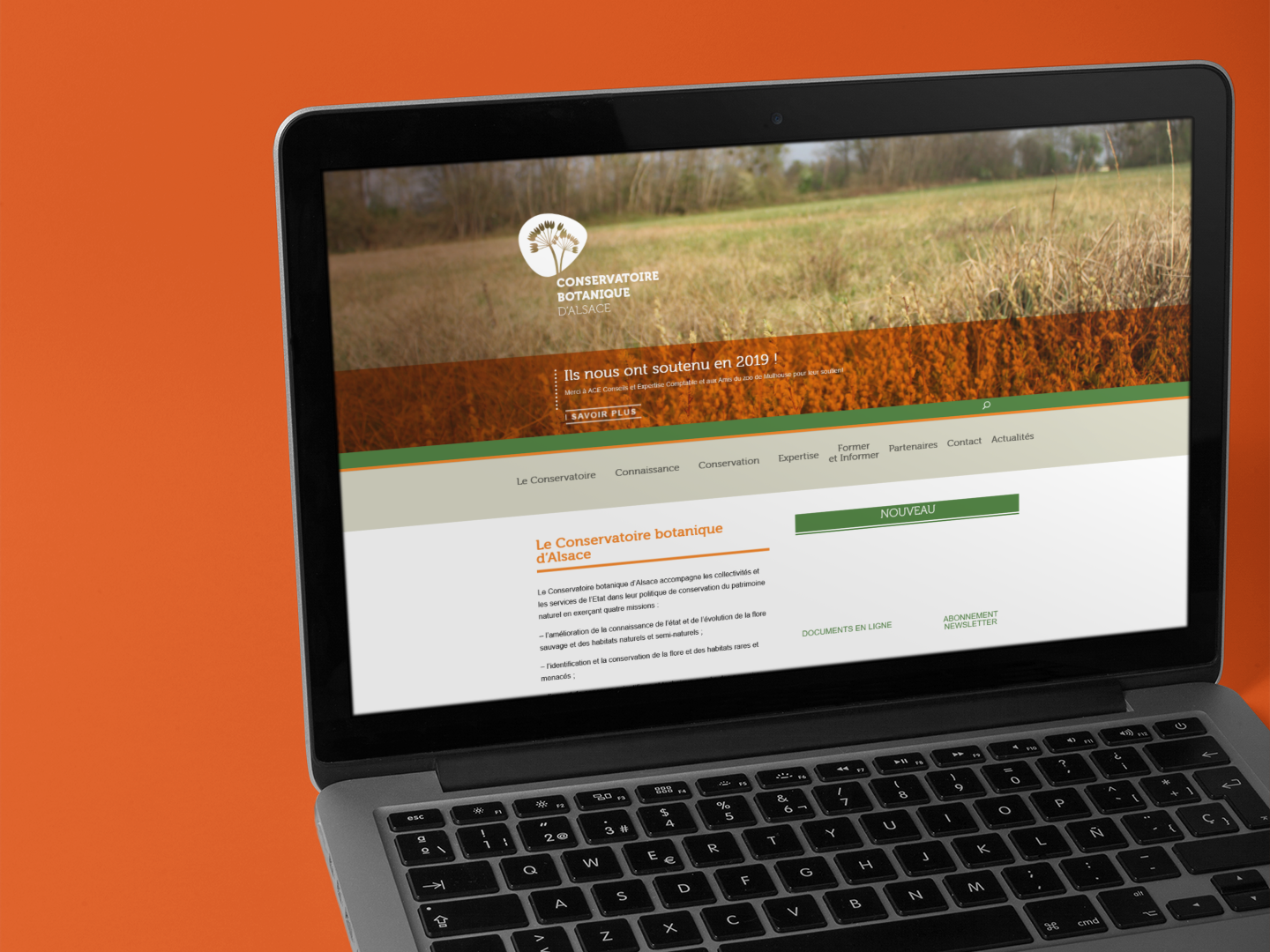 agence web site wordpress conservatoire aspect ratio 640 480