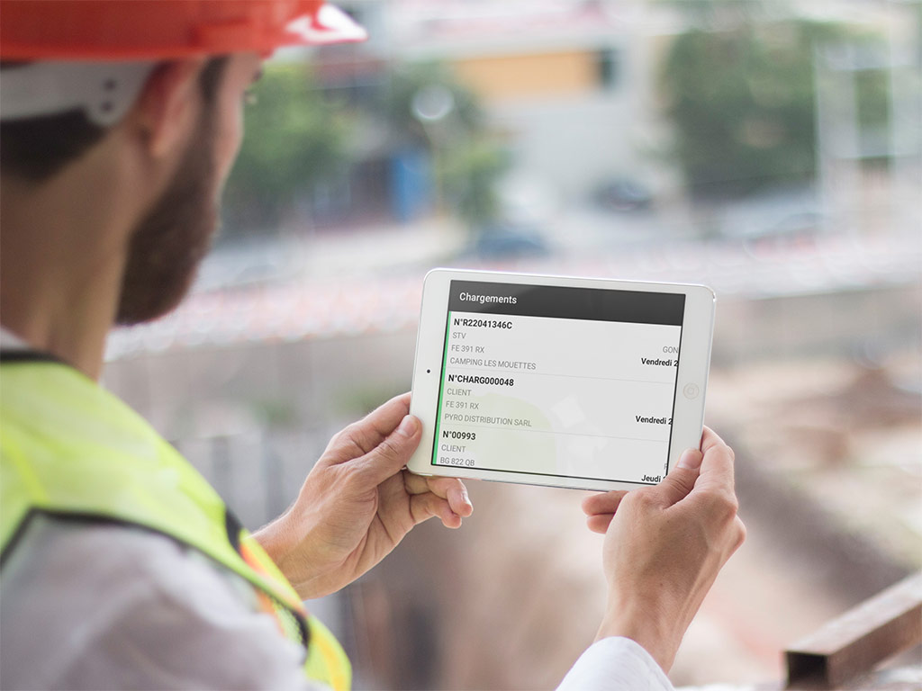 developpement application btp carriere dolibarr